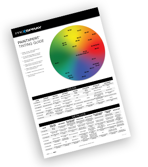 PS_Tint-guide__2020